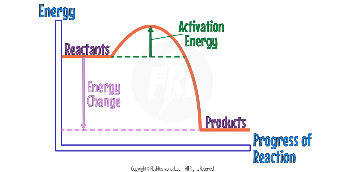 Reaction Profile